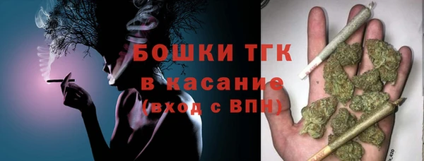 соль ск Бородино