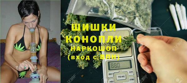 соль ск Бородино