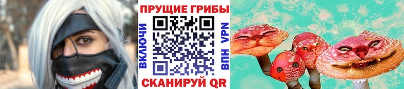 продажа наркотиков  Кашин  Псилоцибиновые грибы MAGIC MUSHROOMS 