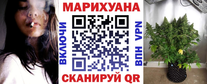 где продают Кашин Марихуана планчик
